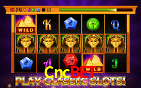 APP oficial da Cncbet para mobile